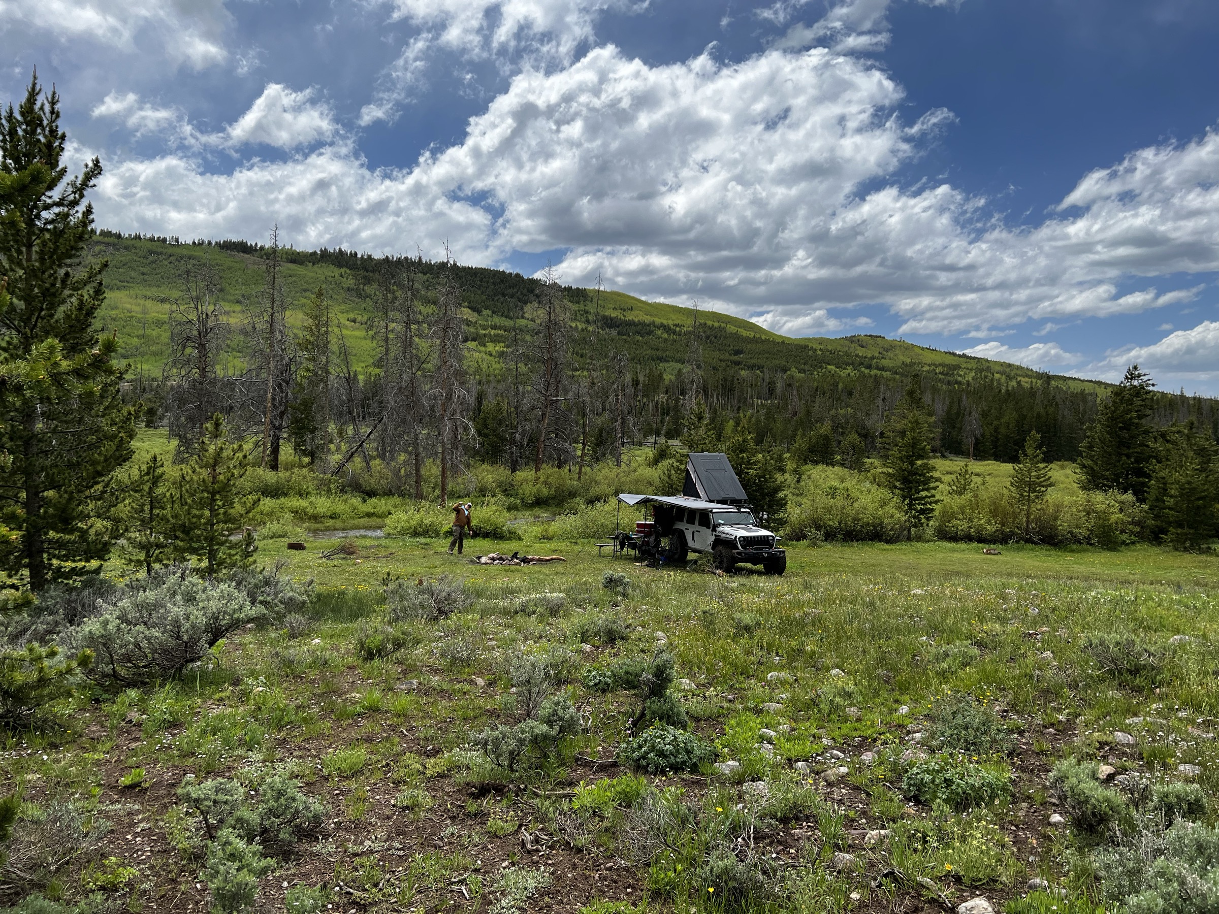 An overlander vehicle parked in a high alpine meadow surrounded by pines